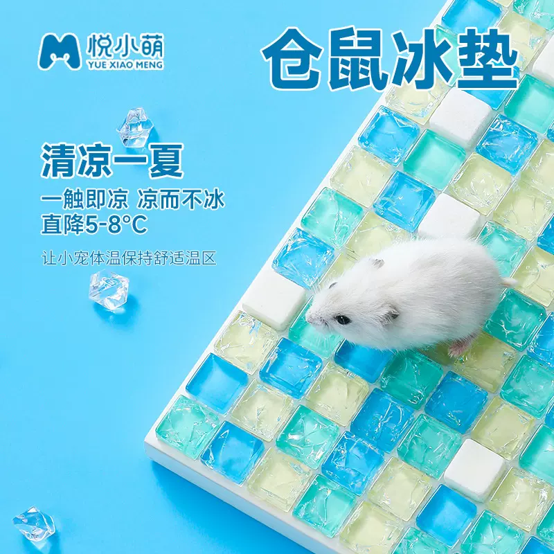 悦小萌仓鼠冰垫夏季消暑用品降温板金丝熊夏天冰屋凉席垫料小玩具