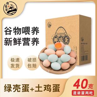 ����ι�B�r�u�����u�� �G��������b֧��һ�����l������