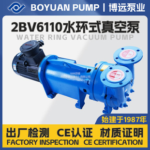 2BV6110����ˮ�h��ձ�dIIBT4�ȼ�4kW����늏S����^�VҺ�h����