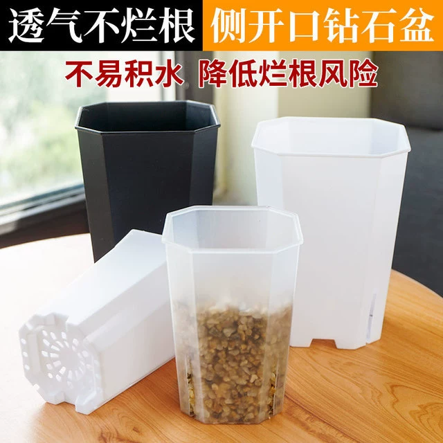 Diamond octagonal square pot transparent black and white flower pot to observe plant growth new material succulent jade dew twelve rolls flower pot