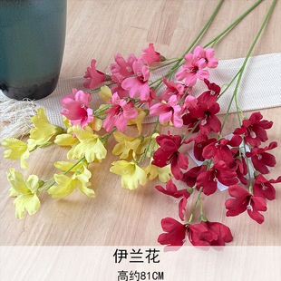 ins�L�����֦С�n�m�����滨���m����֦�L⏻������Y���Ľ���