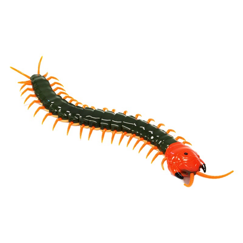 Transfronterizo DE LOS NIÑOS eléctrico inalámbrico de control remoto de simulación ciempiés escorpión escarabajo araña parodia animal modelo de juguete
