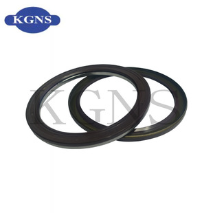 Oil Seal 04373004700 412383-V Saf