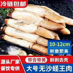 ��̖�|�������r�F���|�������|���|���r��������}�����������l