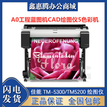TM-5300/TM5200 �L�D�xA1/A0 CAD���̈D/����/GIS�؈D��ӡ�C