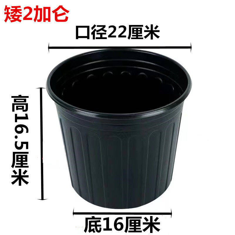 1ff27bb1-2c26-42f8-af50-434d11e281ec.jpe