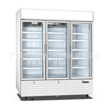 三玻璃门高身柜直冷风冷冷藏冷冻商用大容量不锈刚厨房立式