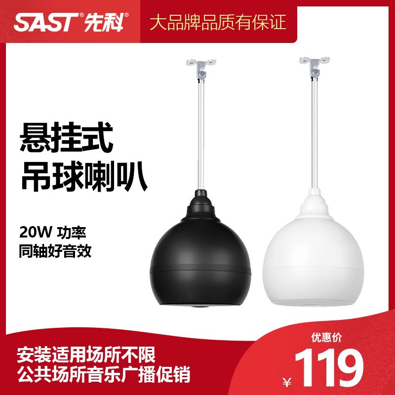Schenko S5-1 Hanging Ball Audio Hanging Boom Audio Shop Supermarket Ceiling Speaker Ceiling Speaker