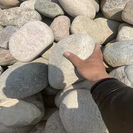 现货供应鹅卵石白色鹅卵石矿山分目鹅卵石园林用鹅卵石