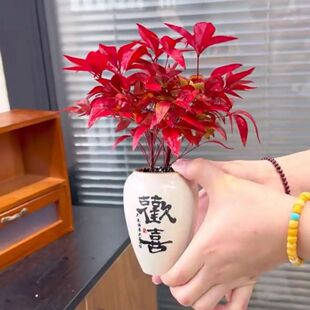 �ͺ��ֺÿ��Ļ������������������L�����҃�����һ�����]