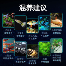 ��ȸ�Ꭷ�^�p�~�絭ˮ��ˮС��С�~���B�ͻ����B���~�Pβ���R���~