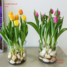 ˮ��������ˮ�B�N�򻨻����ԾGֲ�҃ȾGֲ�ײ������L������ˮ�ɻ�