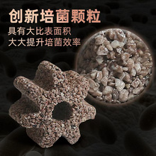 鱼池滤材麦宝原矿小七星鱼缸过滤材料净水滤材纳米石英球过滤滤材