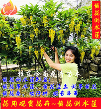 ���������S�N���S����ˮɏ�N����ș���S���h־�^����ͥԺ���Ի���