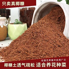 海南免泡散装椰糠脱盐椰砖椰糠土营养土无菌养花种菜绿植通用包邮