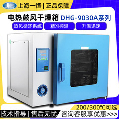 上海一恒恒温乾燥箱DHG-9030/9240a実験室小型オーブン電熱送風乾燥箱