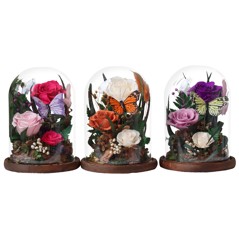 Flor de la eternidad, regalos del día del hombre, regalos de navidad, regalos de cumpleaños, regalos de rosa, regalos de vidrio, regalos de navidad, regalos de cumpleaños, regalos de navidad, regalos de cumpleaños, regalos de navidad, regalos de cumpleaños, regalos de navidad, regalos de cumpleaños