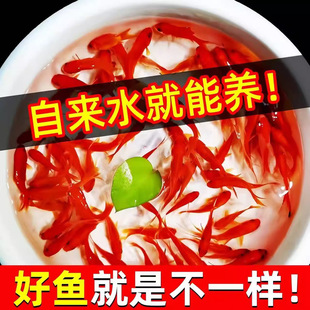 ���N�Pβ��t�ݽ��~С�\����ˮ�^�p�~����B�ͻ��ԁ�ˮ��ˮ���~��