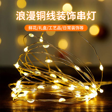 跨境专供led铜线灯灯串电池盒遥控USB圣诞装饰花束浪漫氛围灯