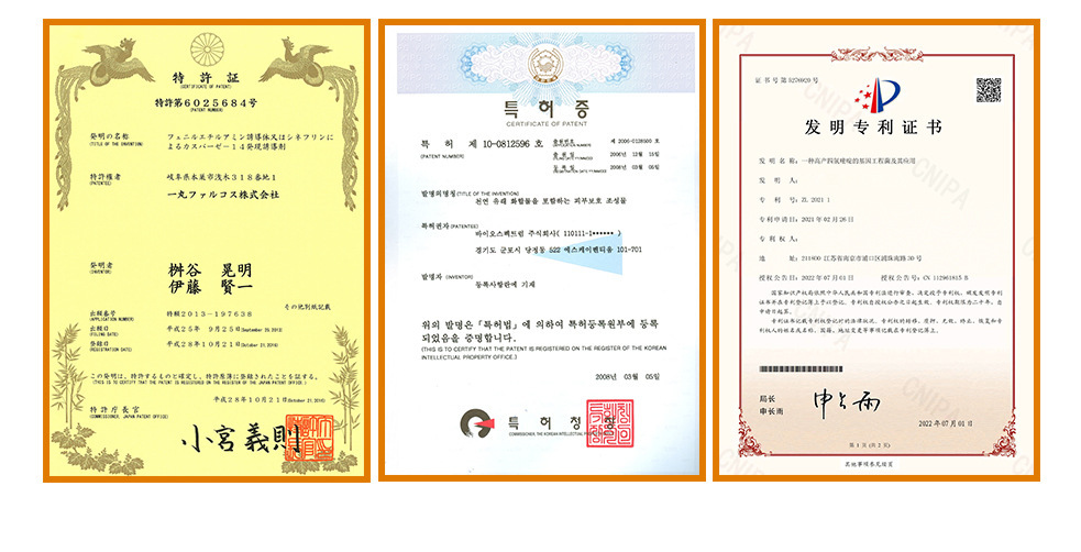 复制_跨境外贸 Nouelv 24k黄金胶原精.jpg