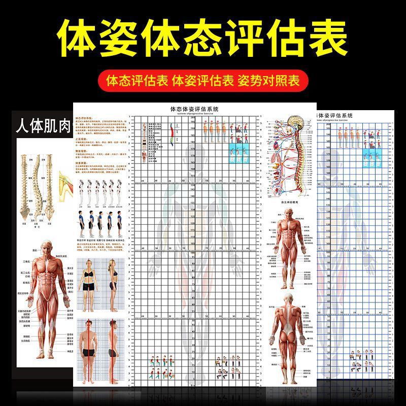 体态评估图健身房体测表瑜伽私教站姿形体脊椎身体修复三维装饰