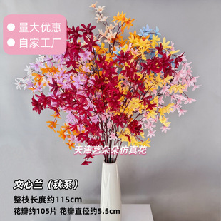 ���l���滨�����m��ɫϵ��֧�Ƶ�ֲ�����bٻ���c��Y�[��