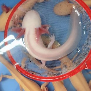 ��ˮ��ˮ�~���~�~���^�p�~ϔ��\�������]���~���˺��B���ǿ����~