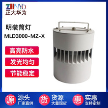 ���F���Fվ��܇վ�҃���Ͳ��30W40W50W60W80W100W120WLED���bͲ��