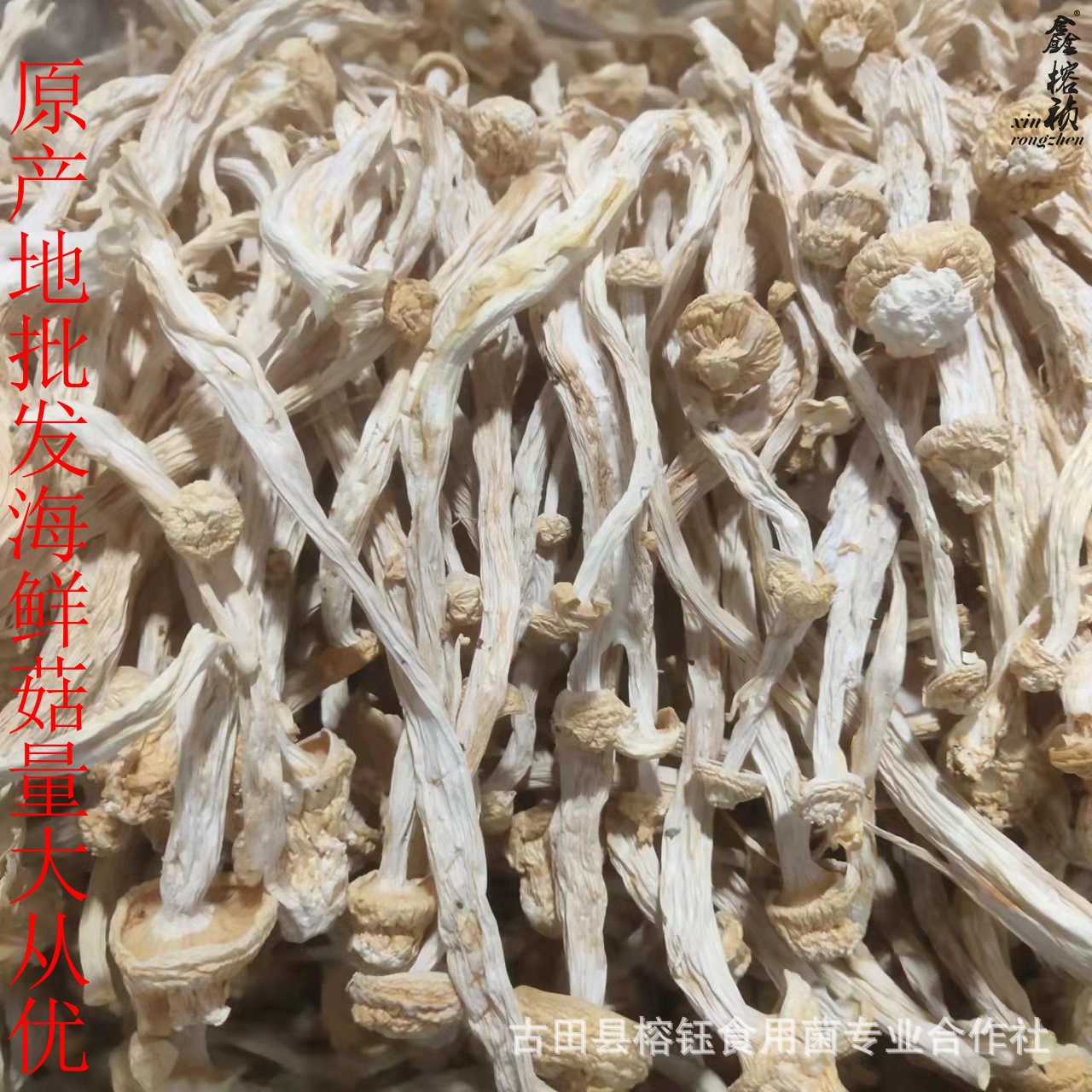 O1CN01jlaSYk2CT8zsJMZvL_!!2212