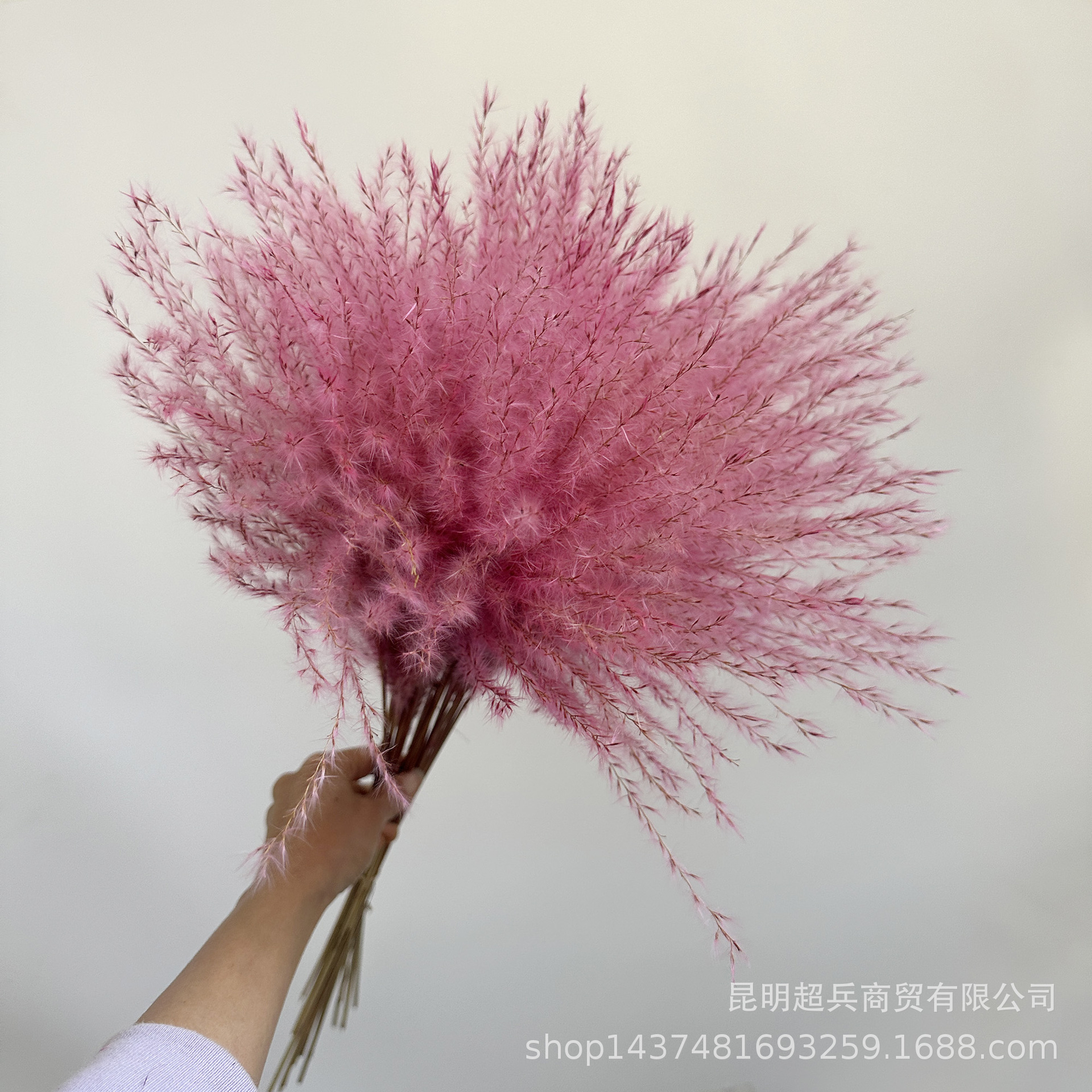 微信图片_20250310133803.jpg