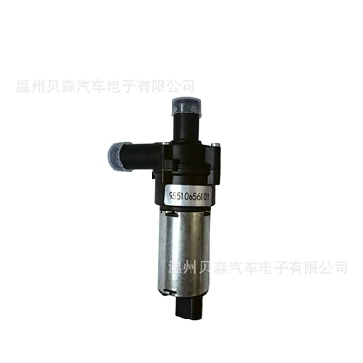 and Volkswagen, Water pump