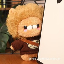 网红穿衣金毛小狮子公仔毛绒玩具礼盒狮王娃娃玩偶生日礼物女生孩