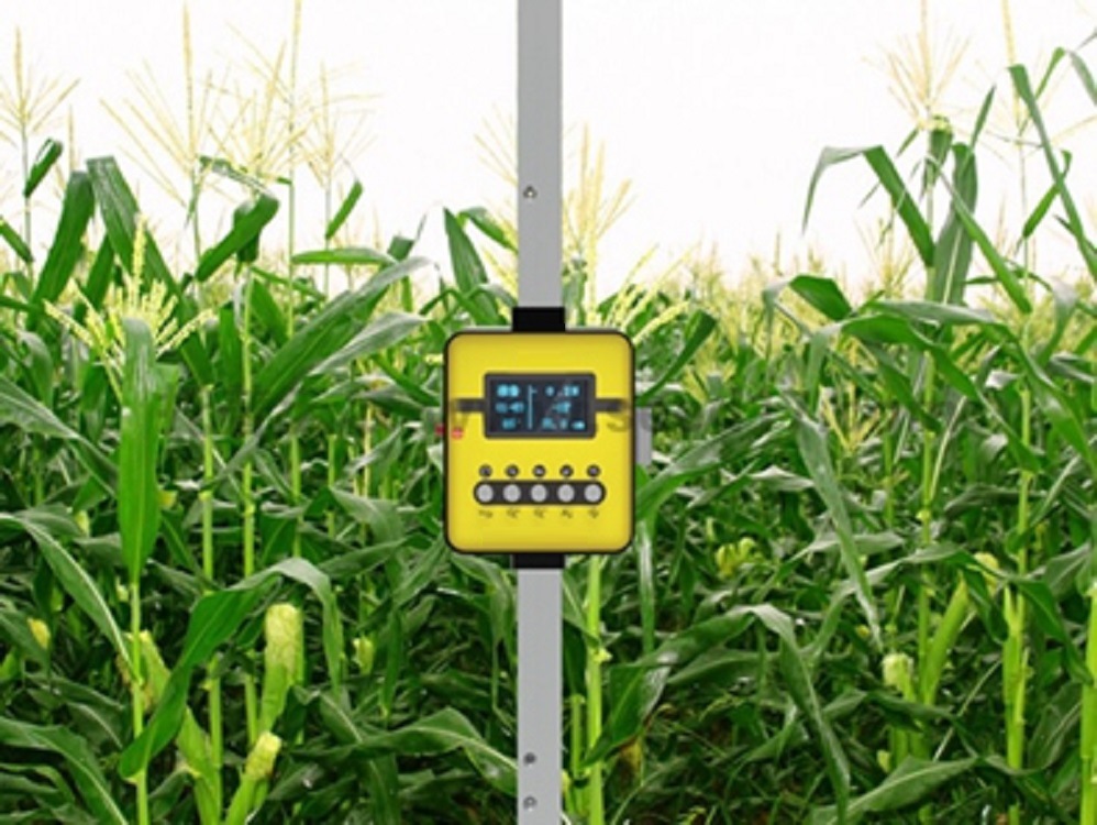 植物抗倒伏测定仪/玉米活体抗倒伏穗高一体机 型号:M405529