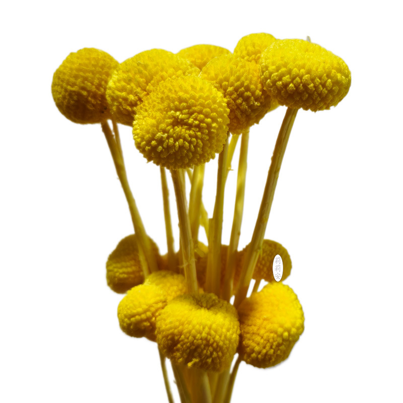 노란색(20개/묶음)