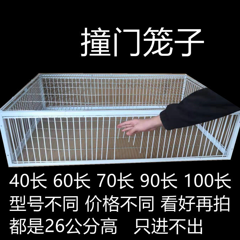 鸽子撞门笼 自动撞门笼活络门帘子门信鸽进笼口进门自动门鸽子笼|undefined