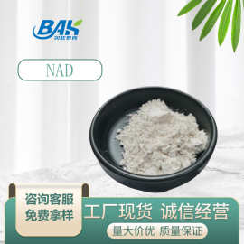 食品级β-烟酰胺腺嘌呤二核苷酸98%氧化型拿样工厂现货 NAD+原料