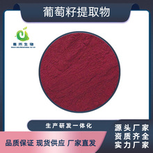 葡萄籽提取物 原花青素 现货供应 量大优惠 葡萄籽原花青素