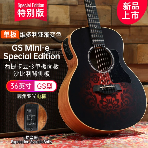 [04_2025新品 GS MINI -E艺术特别版 维多利亚渐变色 电箱]