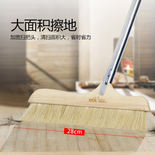 �ߵ�������ë�߰ц΂������i��ܛë���^�l�l���g���҉m�ߝM��