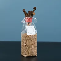 Поставка 18*35*8 шелков съедобных грибов, полностью кислородный пакет для культивации PP анти-термальные бактерии, дышащий мешок для инокуляции
