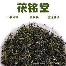 茯铭堂蒲公英茶新货散装蒲公英叶茶婆婆丁茶大货源头厂家批发