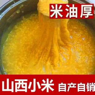 2024С���SС��ɽ��С�������SС����С�S������С���s�Z��֬5��