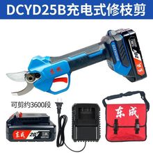 ��֦��늄���֦��DCYD14B��늼�������@�ִ�֦�� �|����֦������