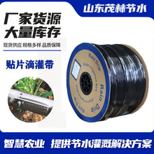 跨境农用滴灌带 蔬菜大棚贴片式滴灌带2000米/卷 内镶贴片滴灌带