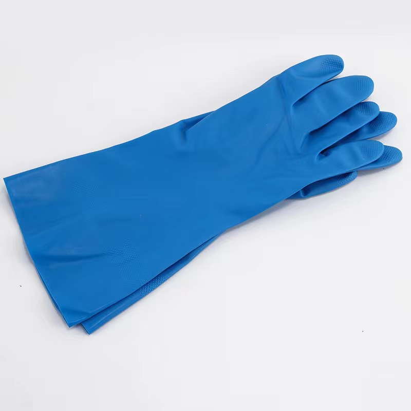 블루 니트릴 가정용 장갑 영어 포장
