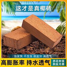 高泡发椰砖营养土压缩椰糠种家用菜养花通用型土壤种植大块椰糠土