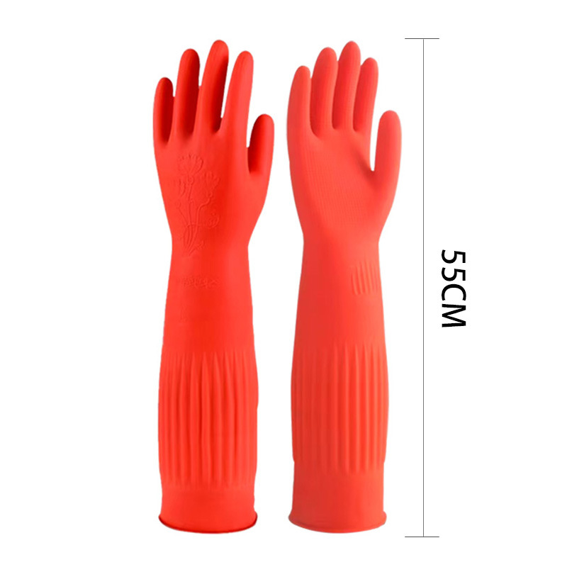 오렌지 레드 약 55cm