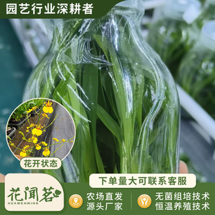 �л������m 0810 �����Sƿ��M�����״���҃������Ի�������r��