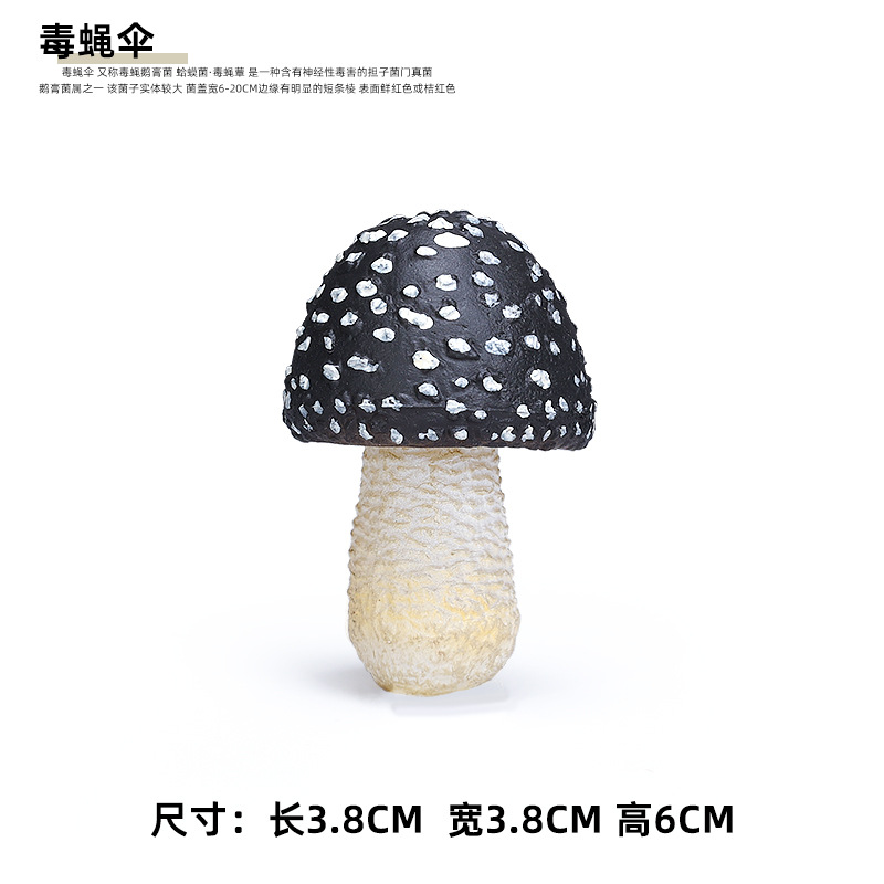 검은 독 파리 우산