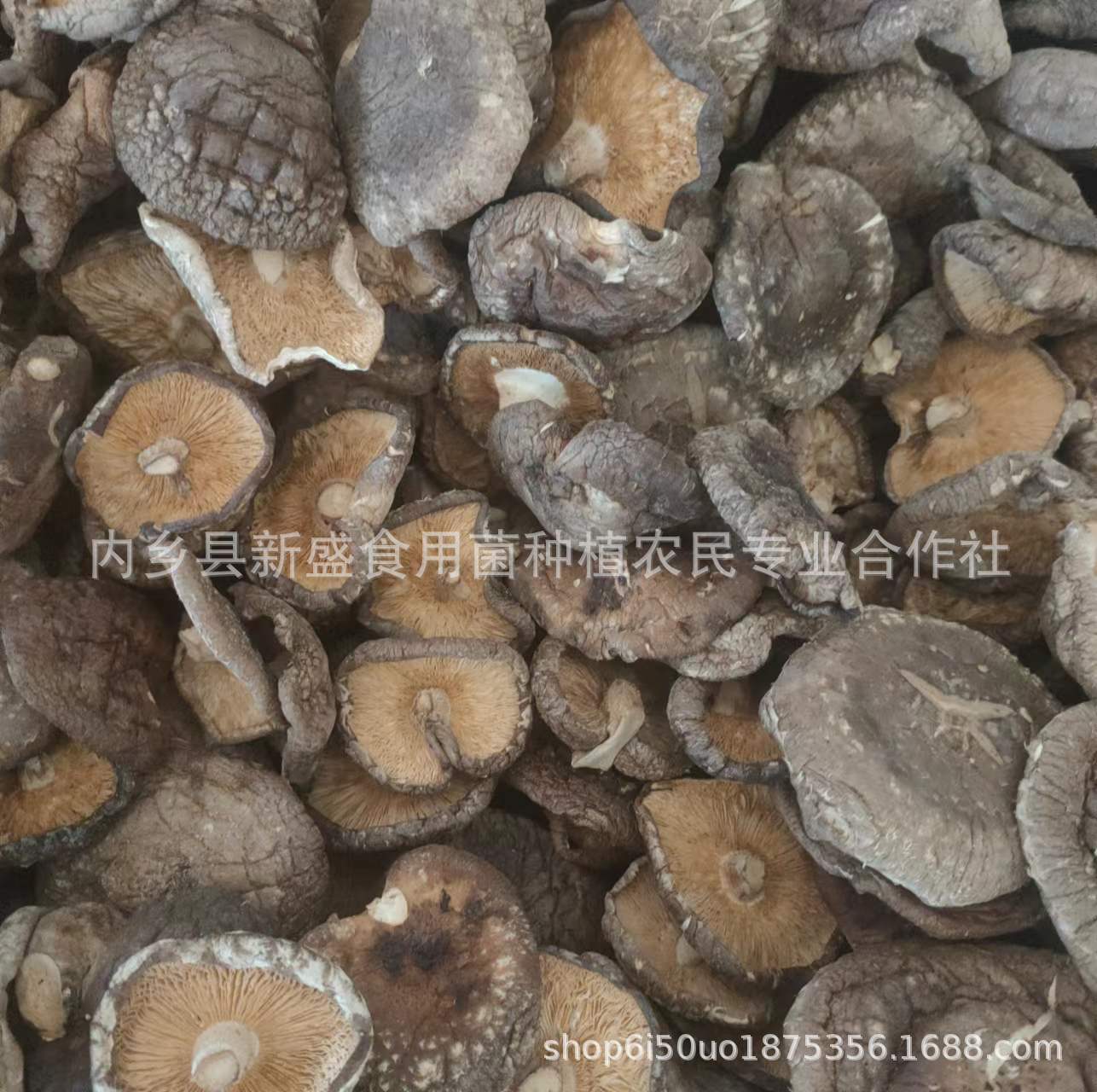 8fc42422463912b3bf47ed84c1de34